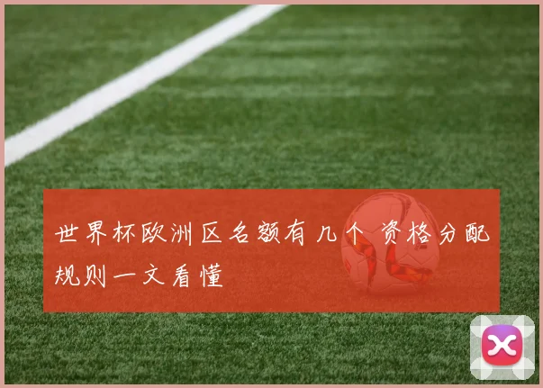 世界杯欧洲区名额有几个 资格分配规则一文看懂