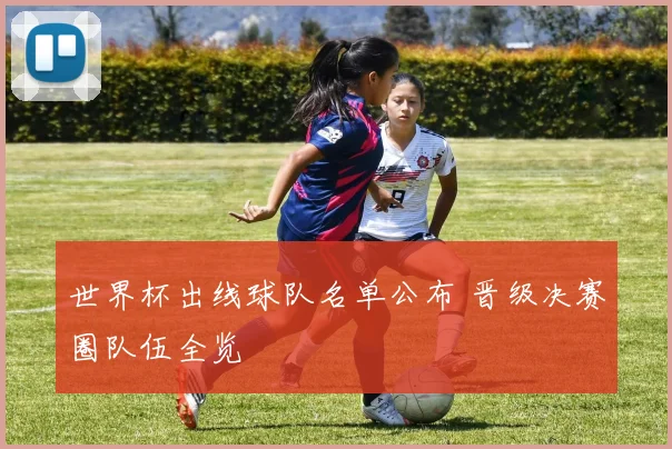 世界杯出线球队名单公布 晋级决赛圈队伍全览
