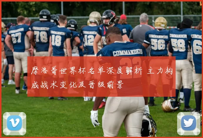 摩洛哥世界杯名单深度解析 主力构成战术变化及晋级前景