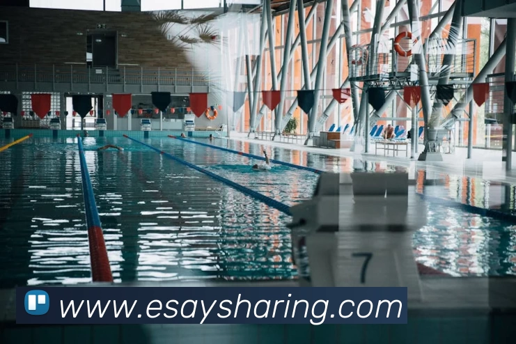 抓饭体育平台(中国)官网入口平台生态图