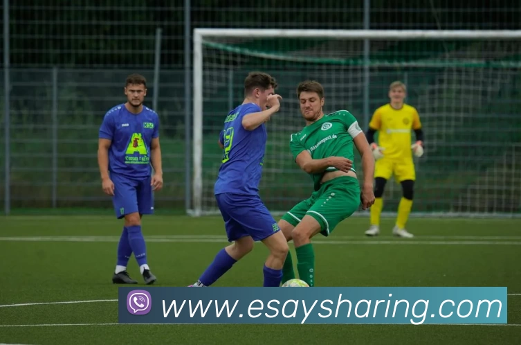 辅助工具 辅助工具